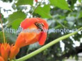 /album/fotogaleria-fotografie-prirody-/p8180048-jpg/