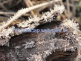 /album/fotogaleria-informacie-pre-navstevnikov/jesen4-jpg/