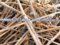 /album/fotogaleria-informacie-pre-navstevnikov/jesen5-jpg/