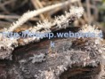 /album/fotogaleria-informacie-pre-navstevnikov/jesen7-jpg/