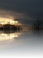 /album/fotogaleria/a5-jpg/